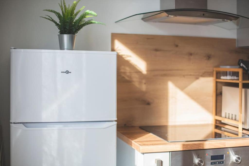 Bel Appartement Lumineux Proche Du Centre-Ville Douai Exteriér fotografie
